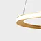 Ring pendant light,gold pendant light and ring light